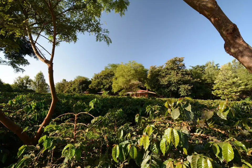 DSC_4656.JPG