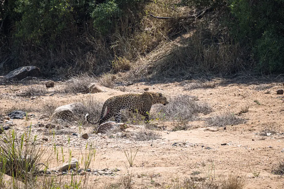 0M107847-Bearbeitet.jpg