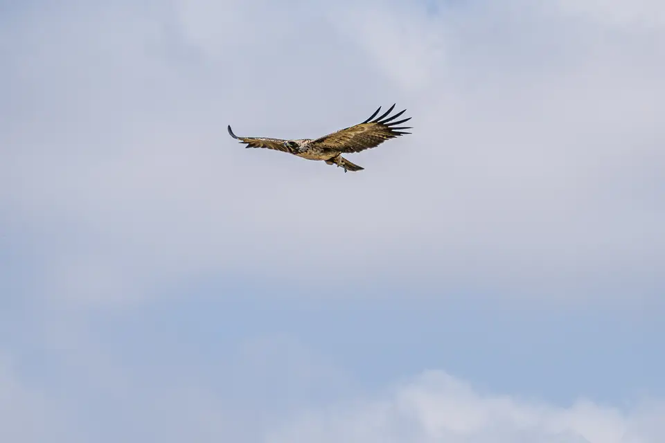 0M107896-Bearbeitet.jpg