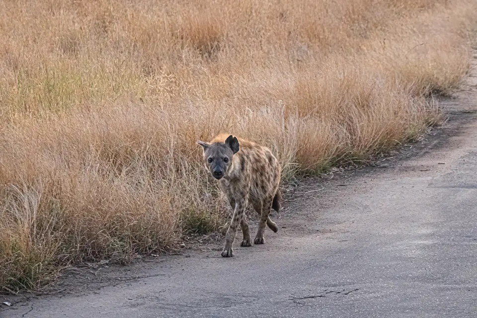 0M108000-Bearbeitet.jpg