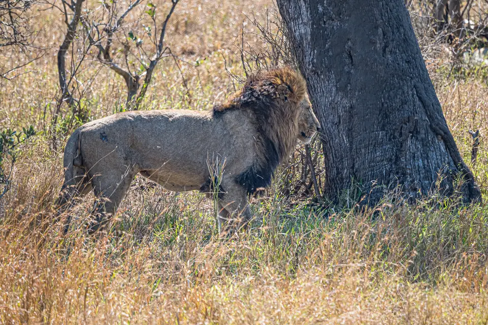 0M108210-Bearbeitet.jpg