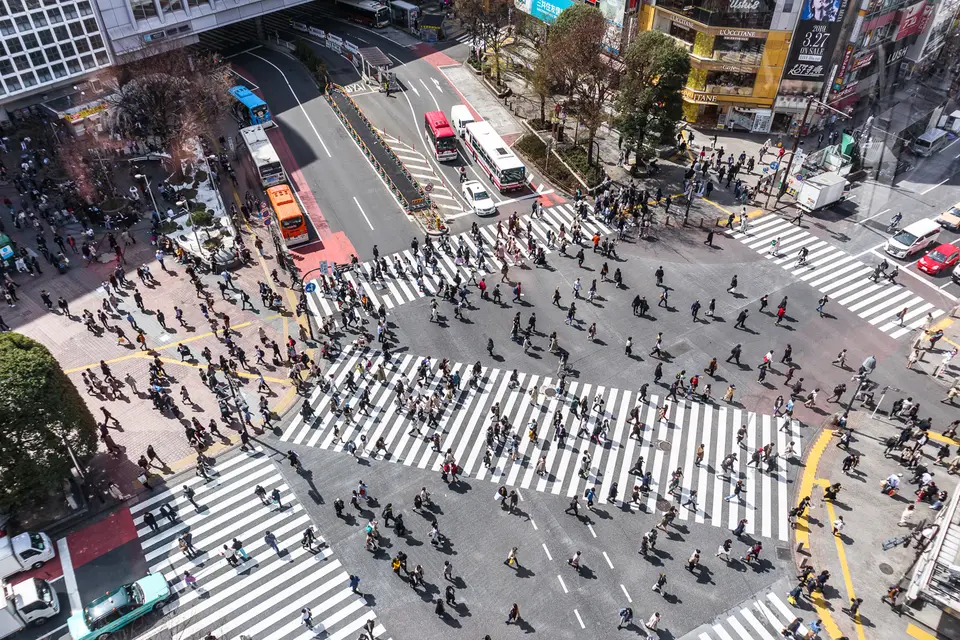 M50_Japan2019_IMG_0639.jpg