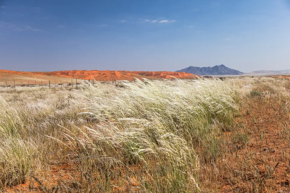 Namibia2012-178.jpg