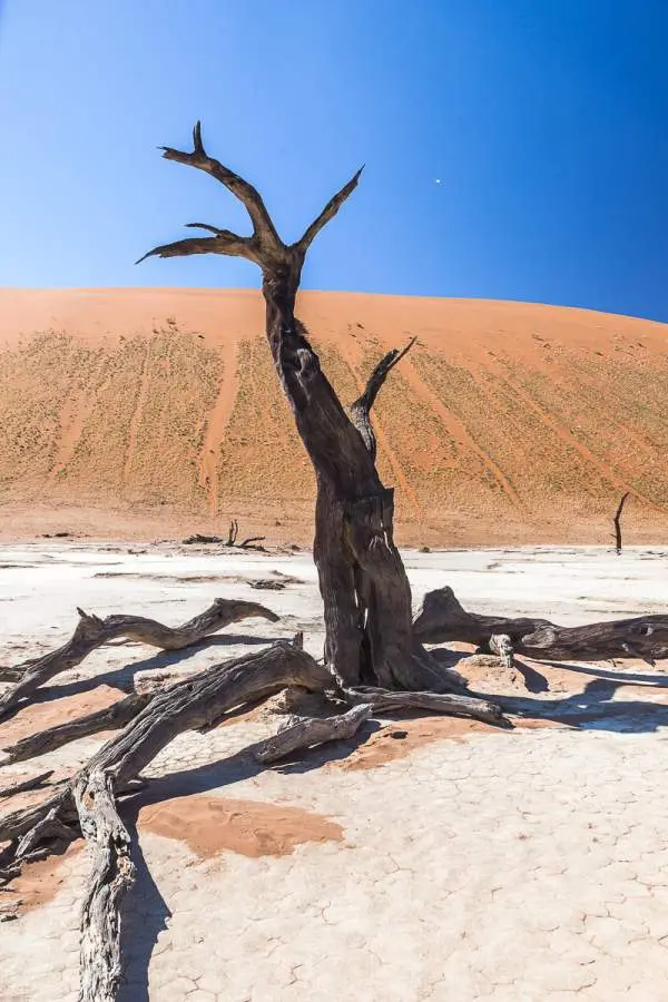 Namibia2012-226.jpg