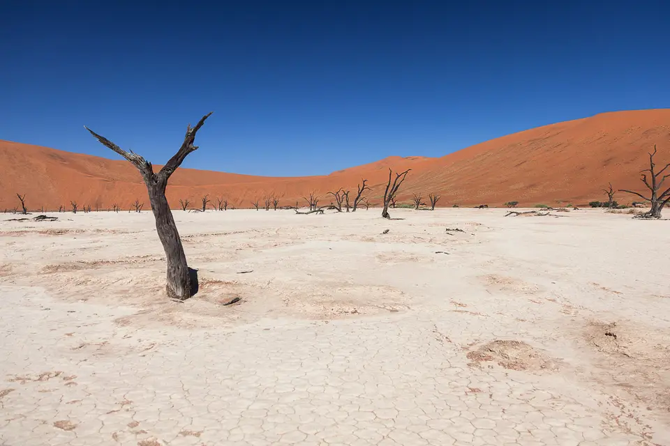 Namibia2012-235.jpg