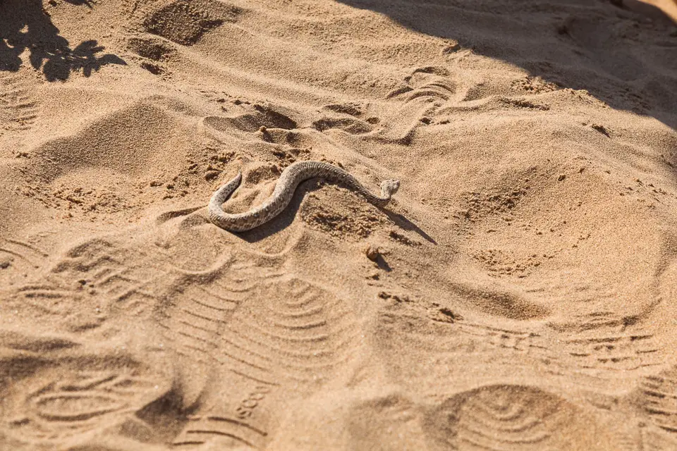 Namibia2012-257.jpg