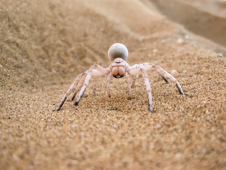 Namibia2012-258.jpg