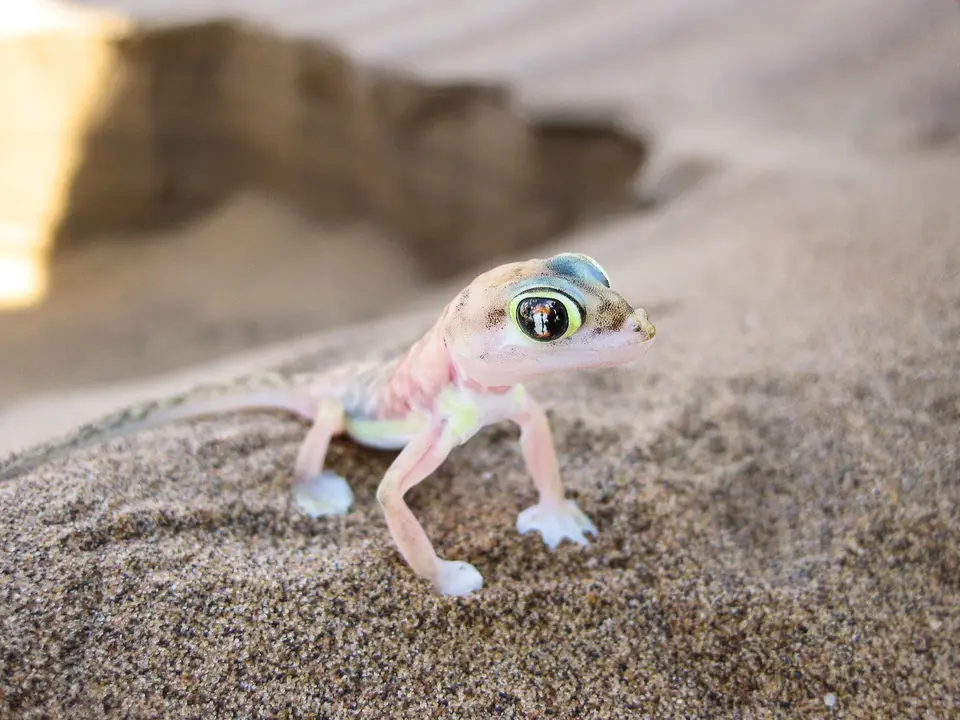 Namibia2012-264.jpg