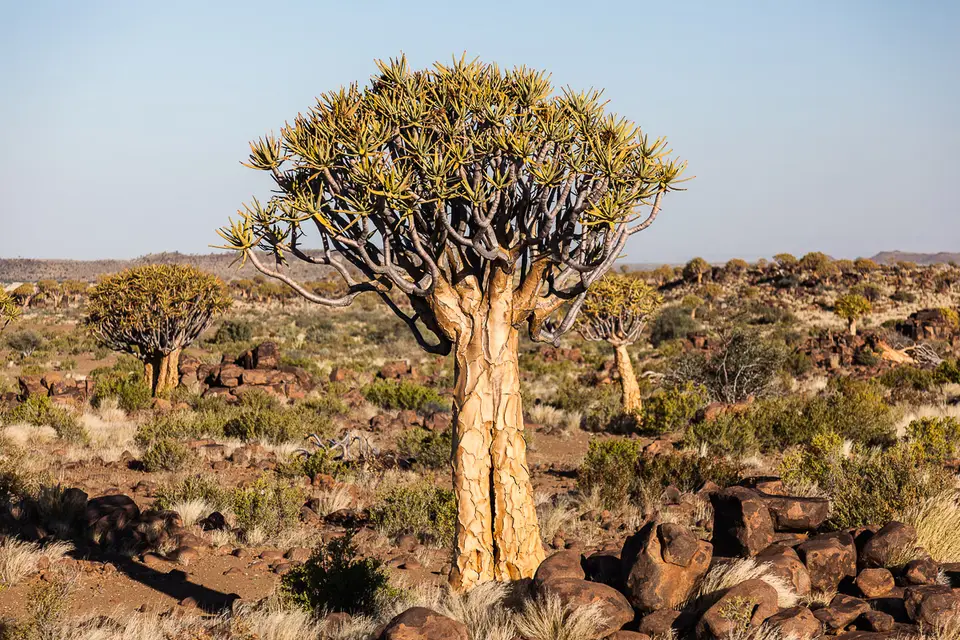 Namibia2012-28.jpg