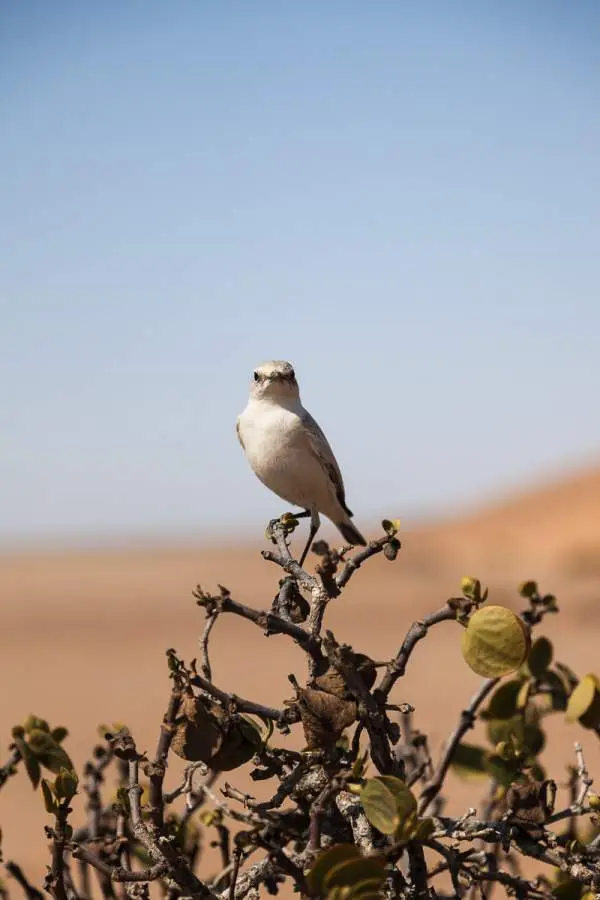 Namibia2012-285.jpg