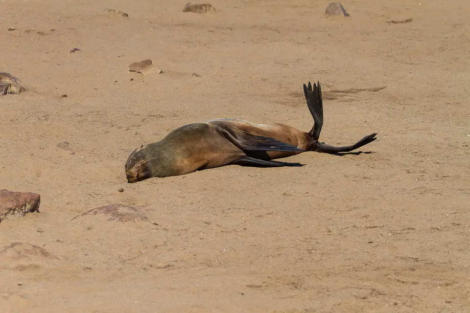 Namibia2012-302.jpg
