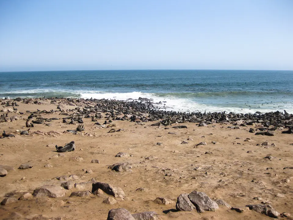 Namibia2012-312.jpg
