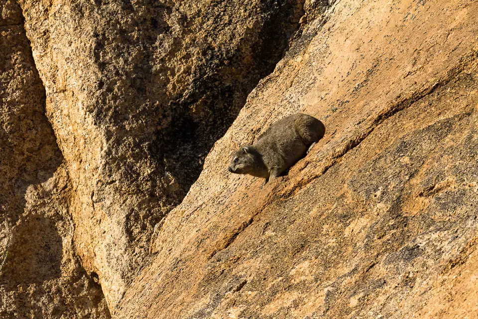 Namibia2012-328.jpg