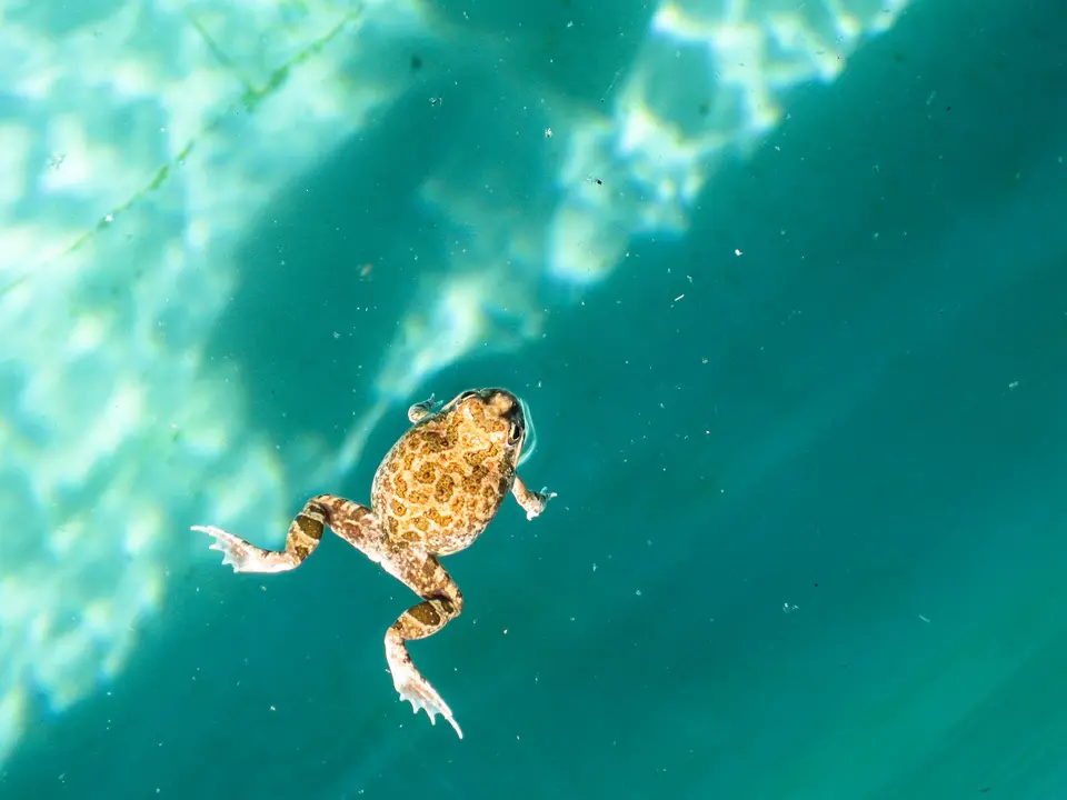 Namibia2012-330.jpg