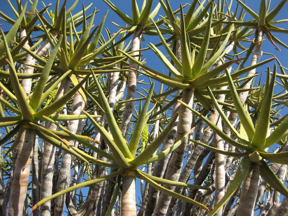 Namibia2012-35.jpg