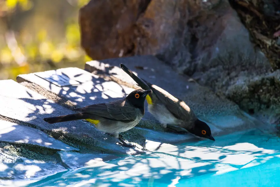 Namibia2012-378.jpg