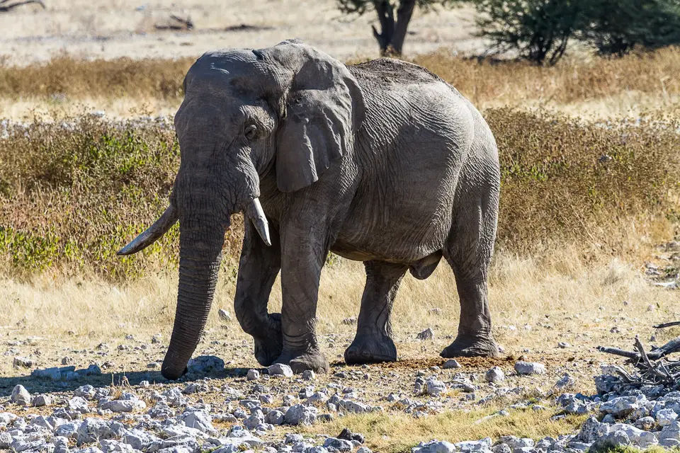 Namibia2012-405.jpg
