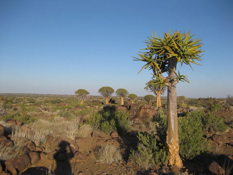Namibia2012-41.jpg
