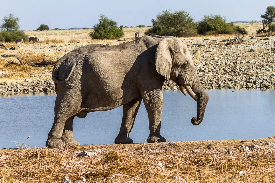 Namibia2012-412.jpg