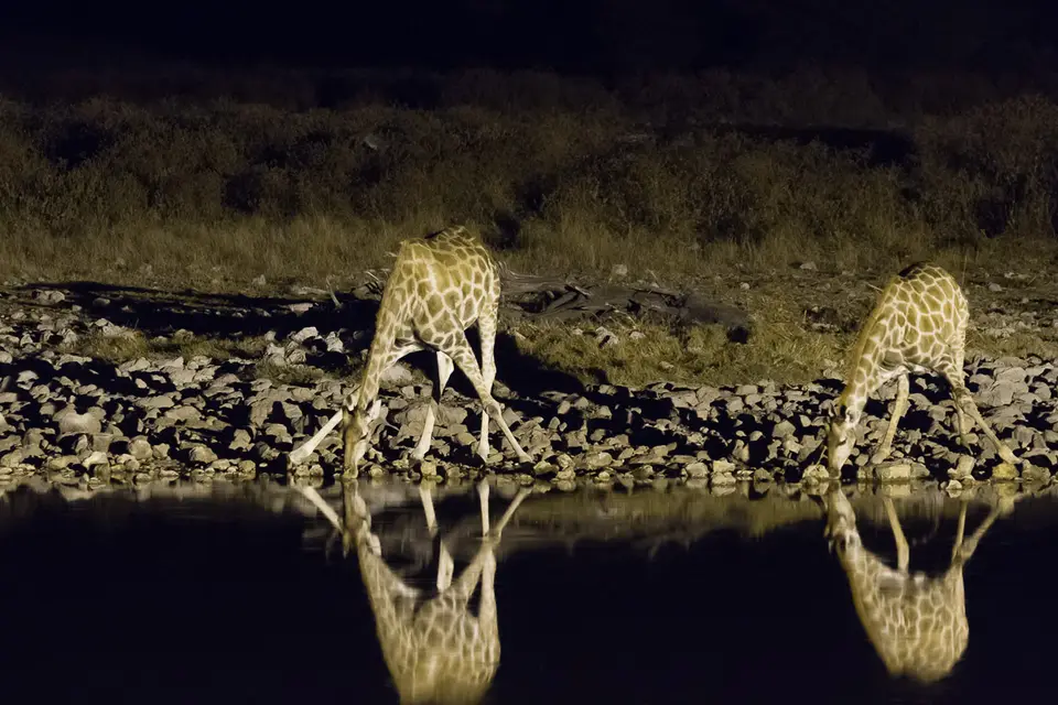 Namibia2012-418.jpg