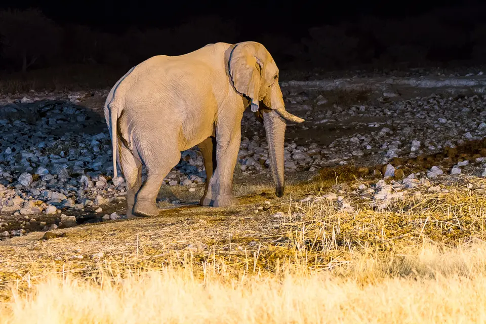Namibia2012-425.jpg