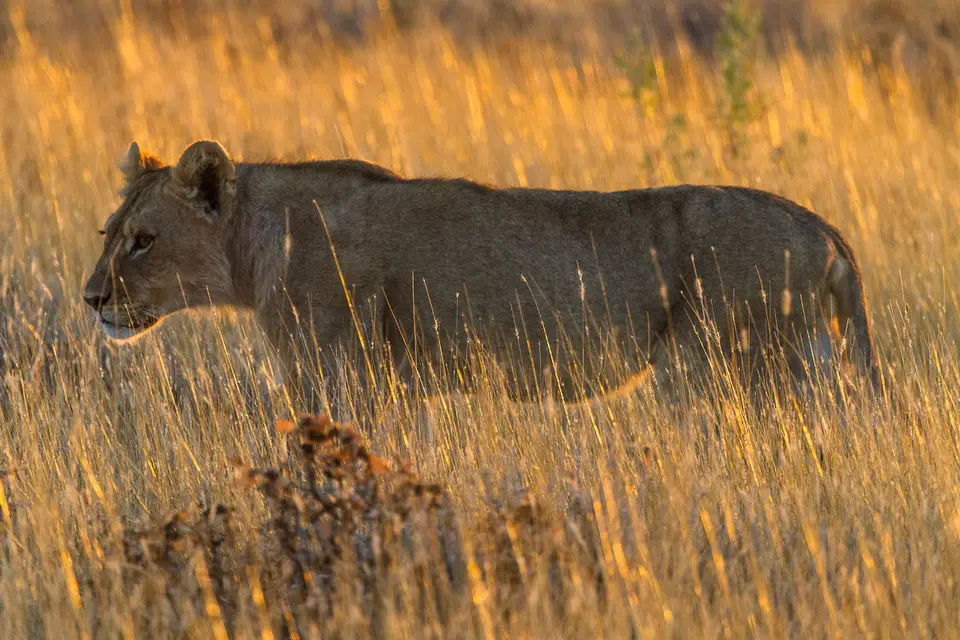 Namibia2012-426.jpg