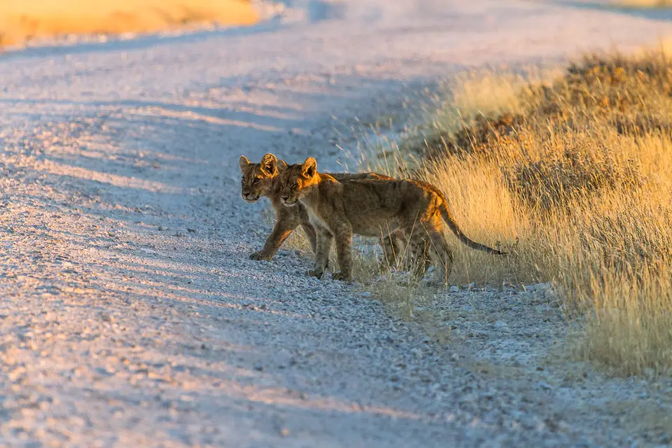 Namibia2012-427.jpg