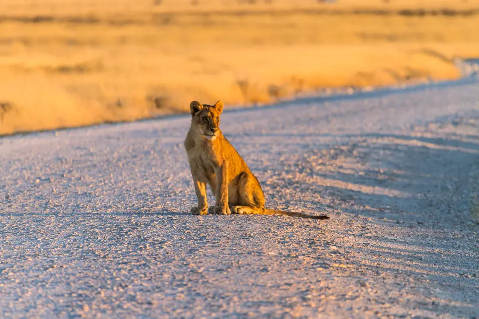 Namibia2012-429.jpg