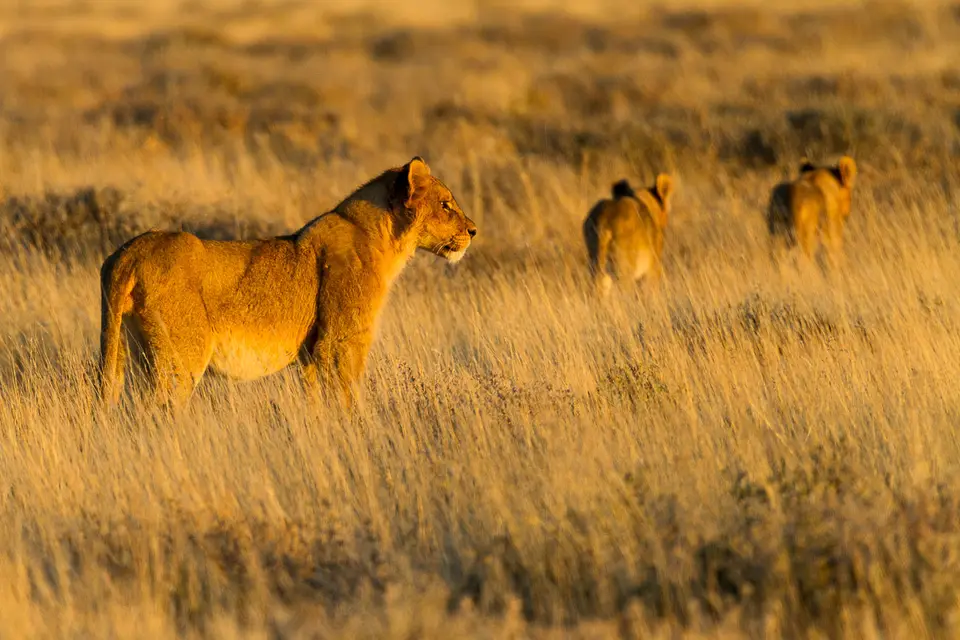 Namibia2012-430.jpg