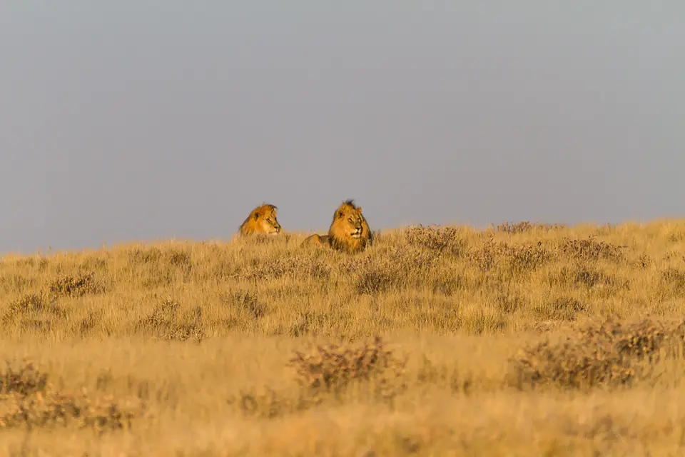 Namibia2012-433.jpg