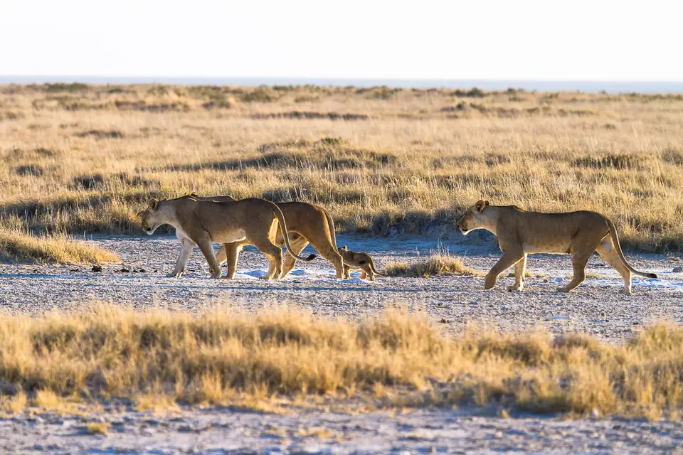 Namibia2012-438.jpg