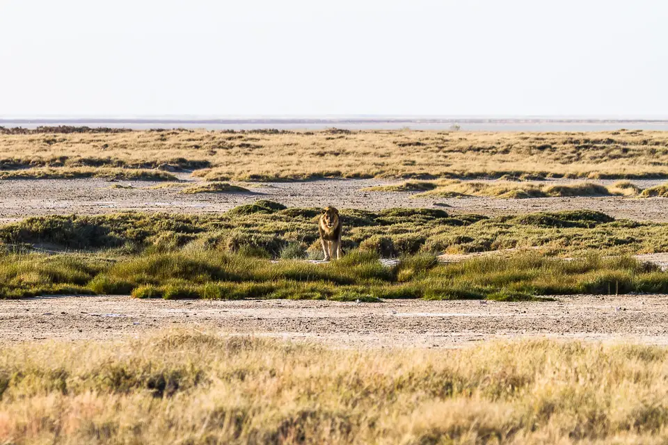 Namibia2012-441.jpg
