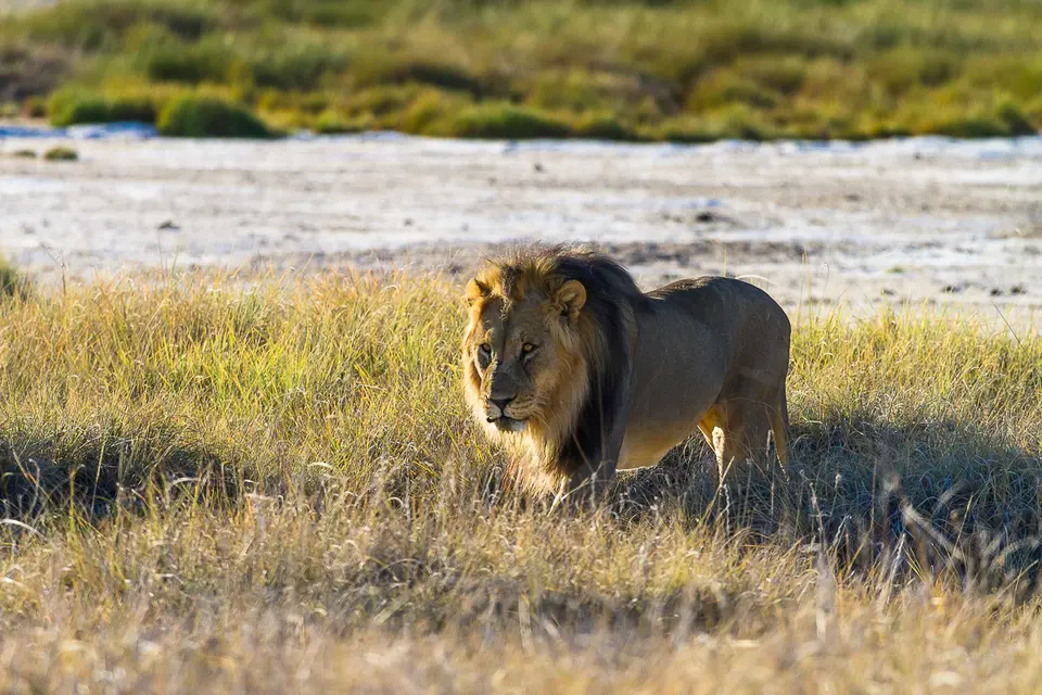Namibia2012-444.jpg