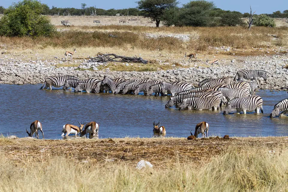 Namibia2012-448.jpg