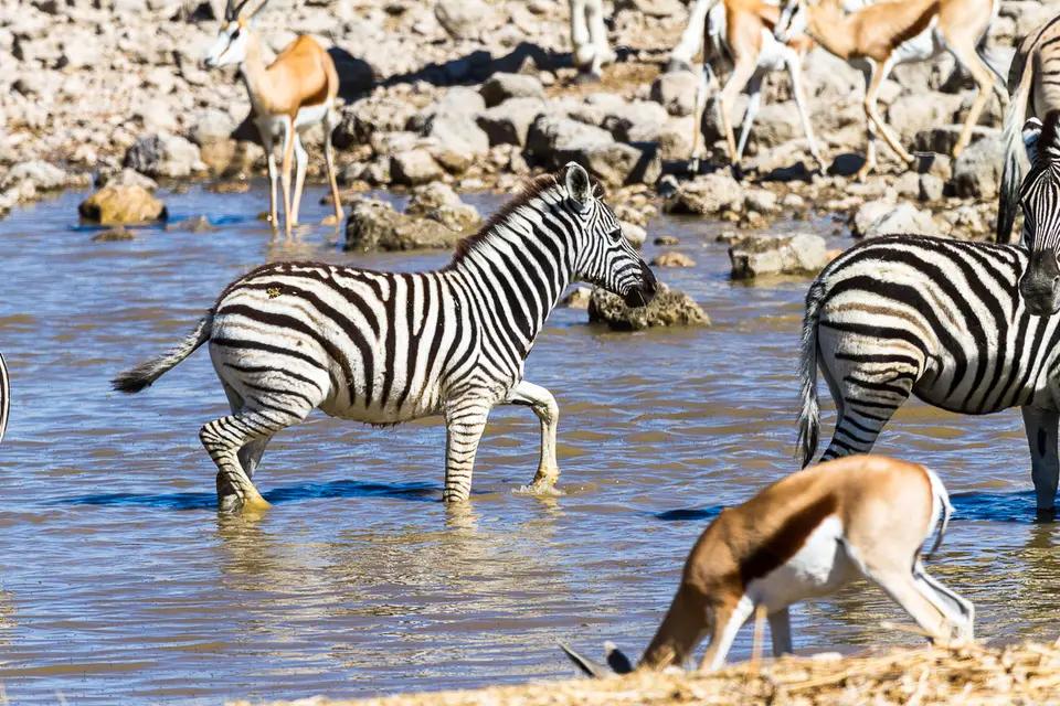 Namibia2012-452.jpg