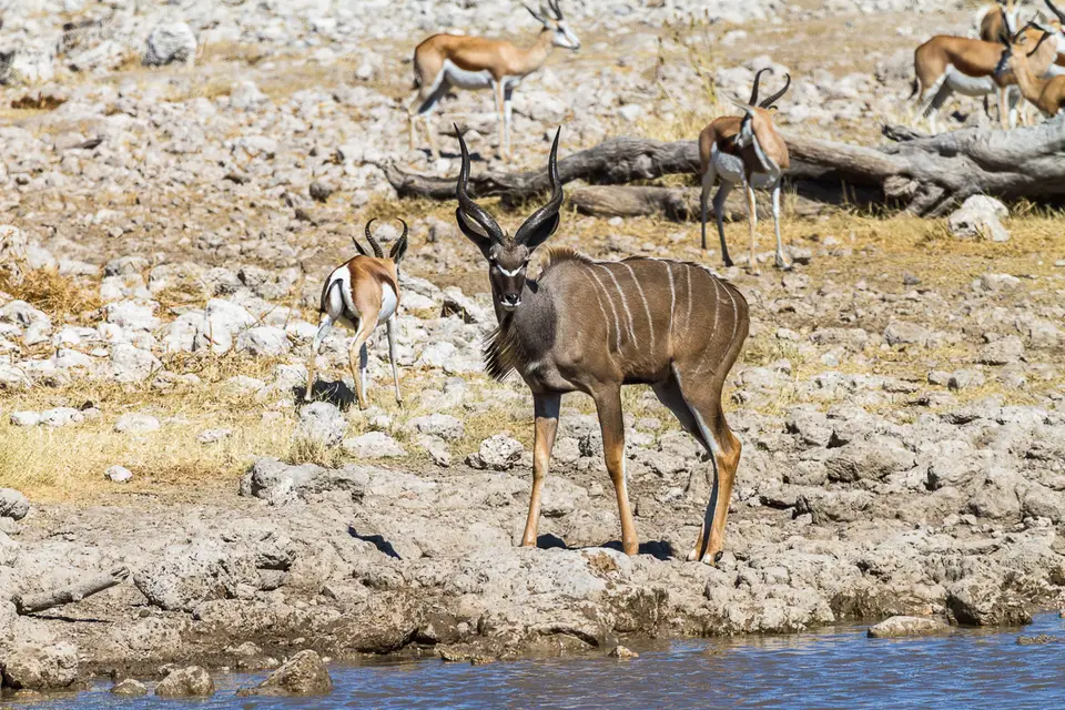 Namibia2012-457.jpg