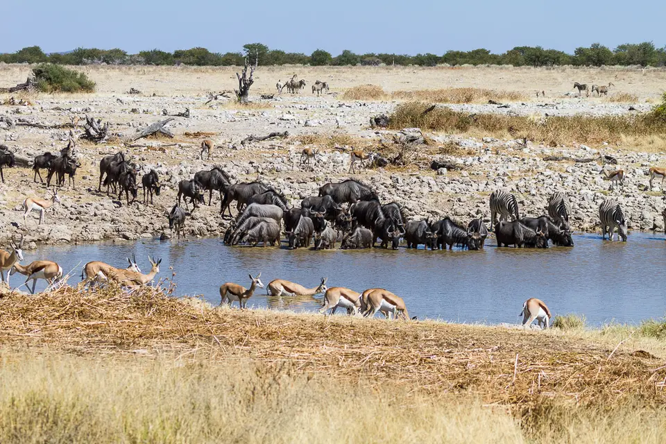 Namibia2012-459.jpg