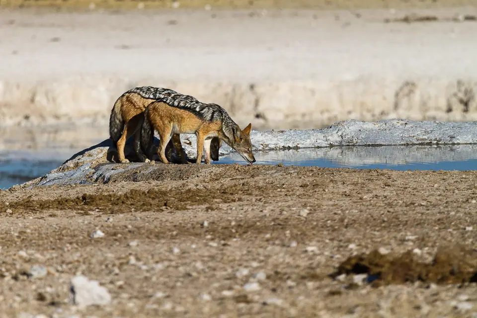 Namibia2012-462.jpg
