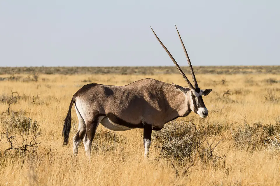 Namibia2012-464.jpg