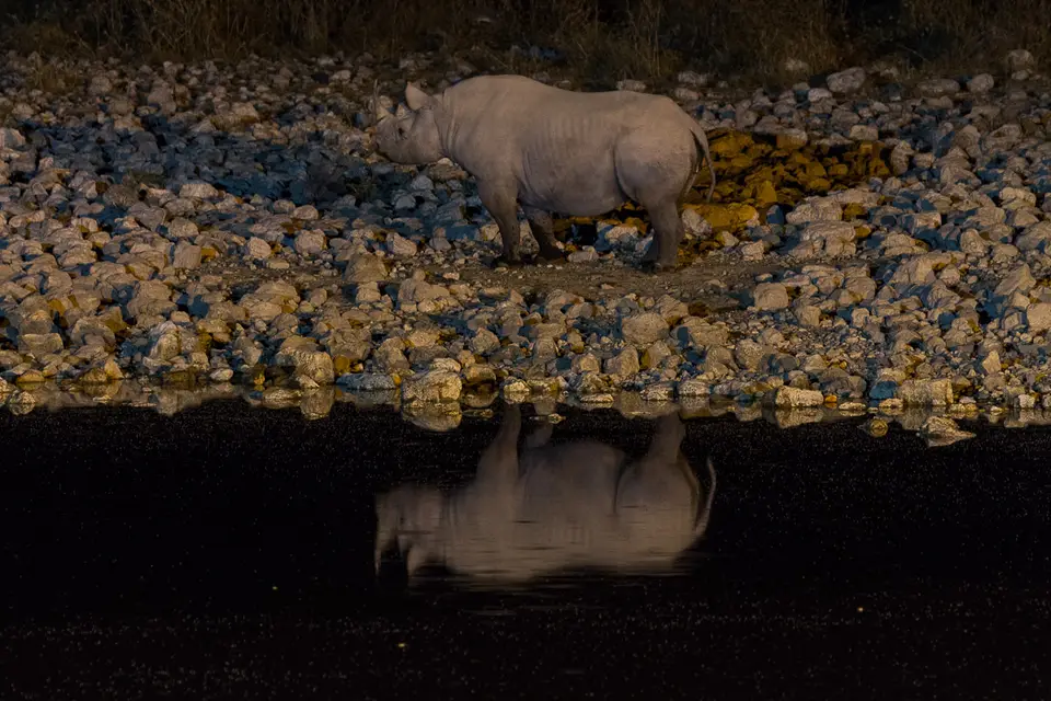 Namibia2012-468.jpg