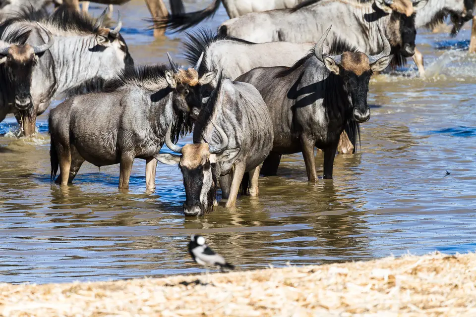 Namibia2012-471.jpg