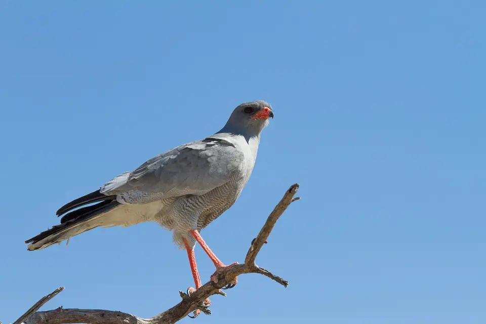 Namibia2012-479.jpg