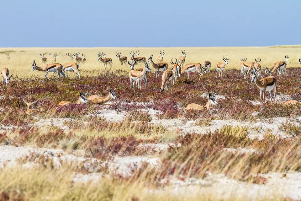 Namibia2012-480.jpg
