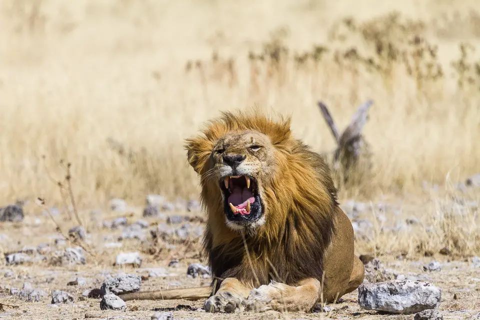 Namibia2012-484.jpg