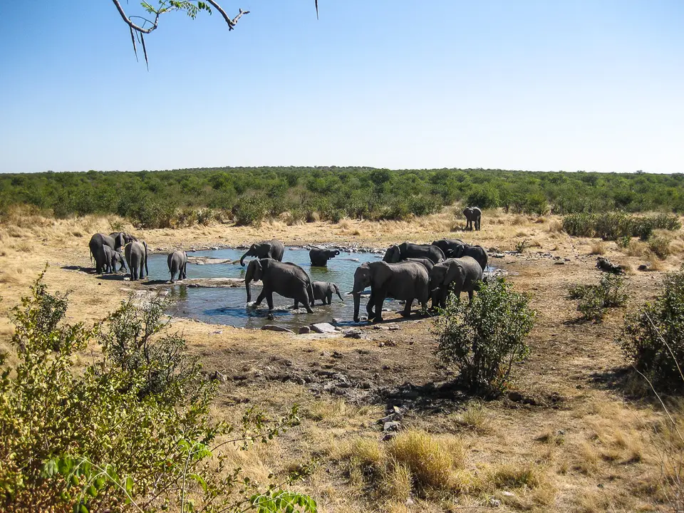 Namibia2012-487.jpg