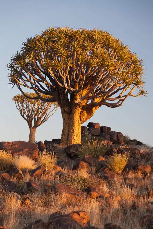 Namibia2012-49.jpg