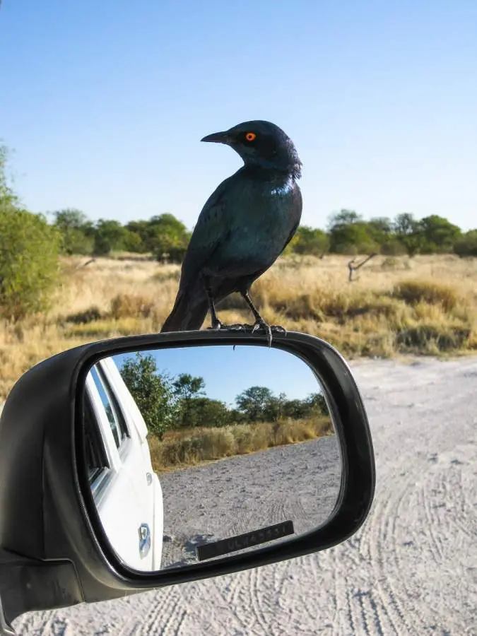 Namibia2012-490.jpg