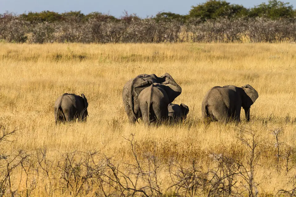 Namibia2012-492.jpg