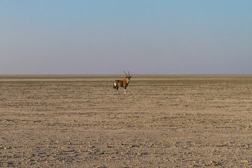 Namibia2012-494.jpg