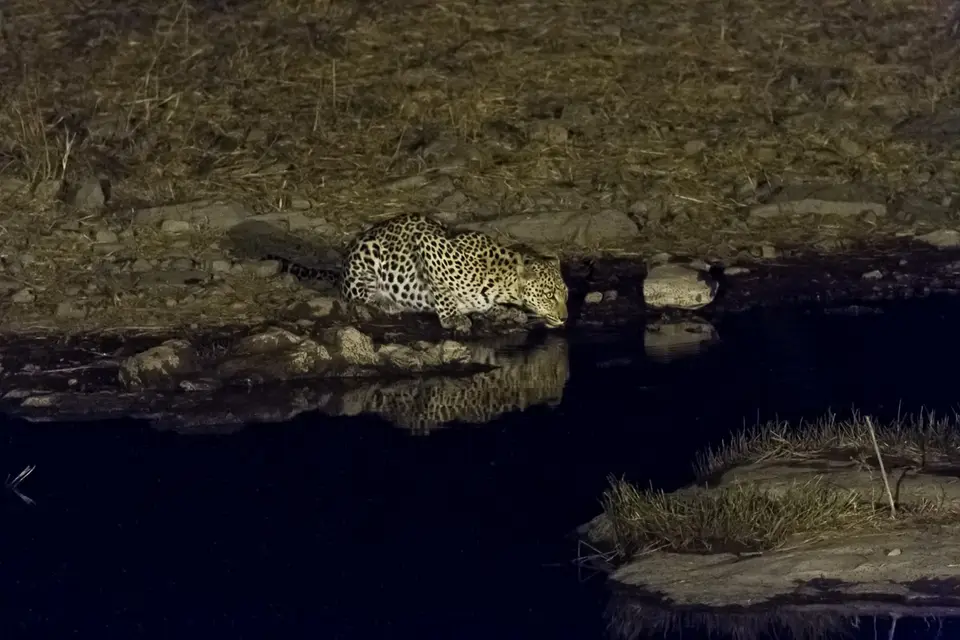 Namibia2012-500.jpg